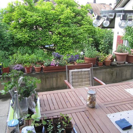 Guest Room Zollikon Zuerich المظهر الخارجي الصورة