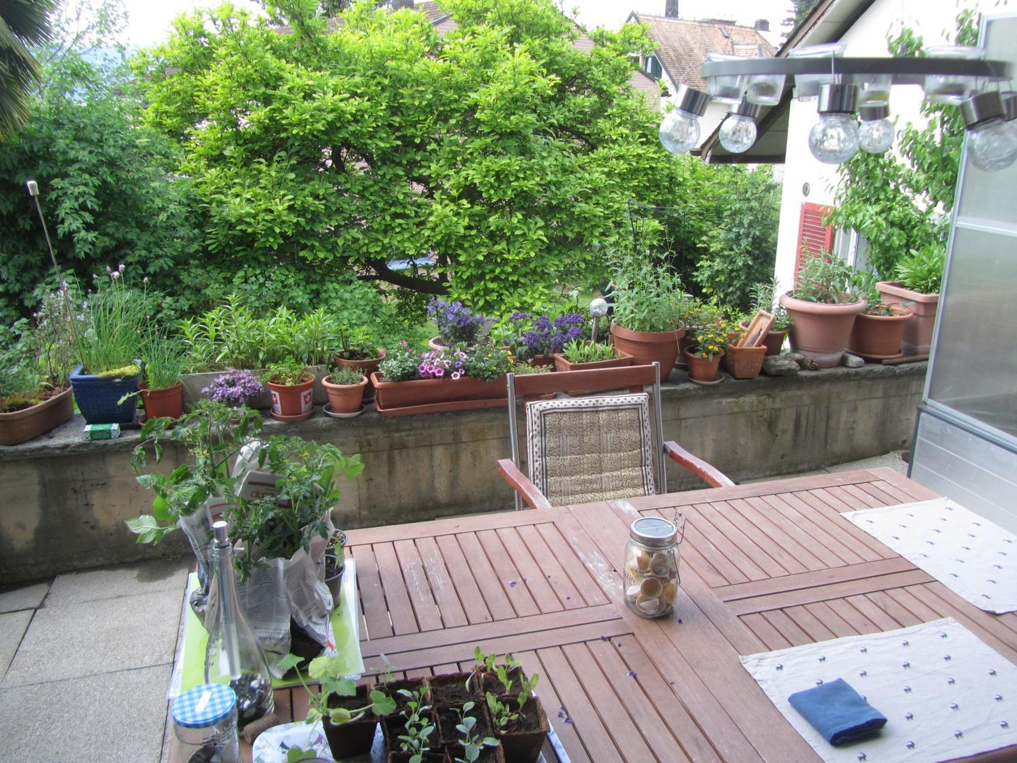 Guest Room Zollikon Zuerich المظهر الخارجي الصورة